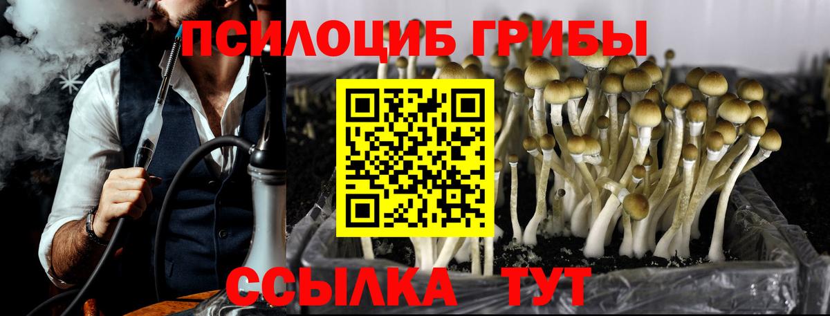 Галлюциногенные грибы мухоморы Волоколамск