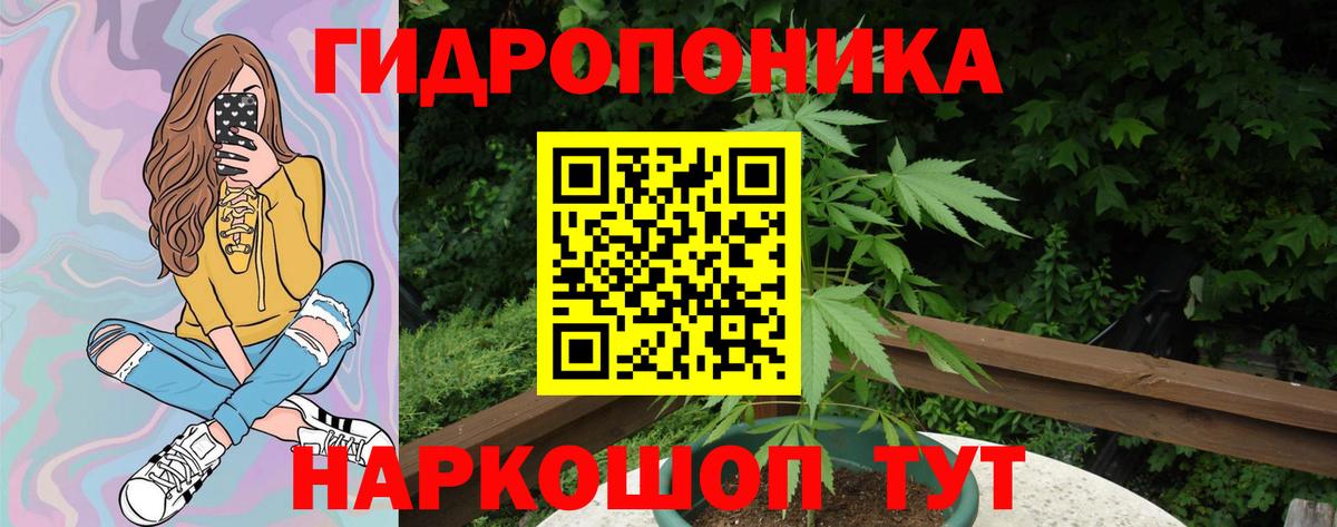 МАРИХУАНА планчик Волоколамск